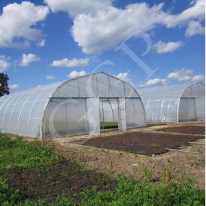 Classic Standard Greenhouse Tunnel Plastic Sheet Covering Vegetable Growth