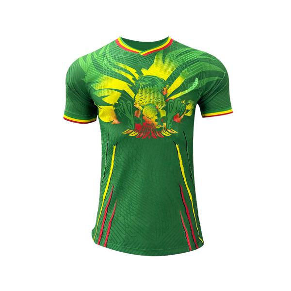 Buy Breathable Fabric Soccer Team Jersey Support Personalized Customization at wholesale prices