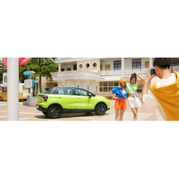 Geometry E Electric Car High Speed and Long Range with Lithium Iron Phosphate Battery