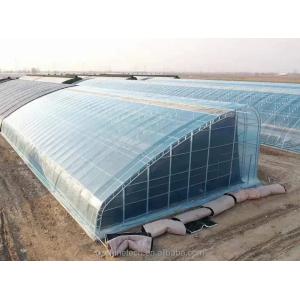 Film Covered Solar Greenhouse for Sustainable Winter Cucumber Cultivation