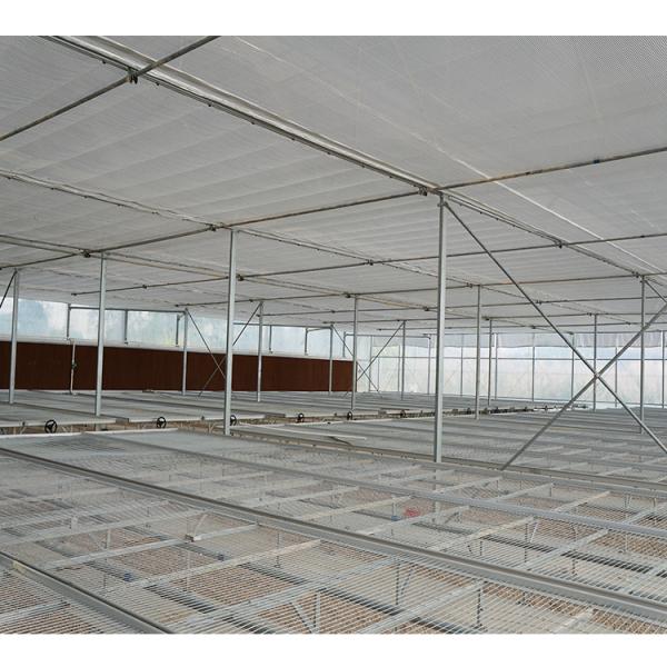 10m Tunnel Width Multi Span Greenhouse Hot Zone Desertic Wind Resistance Greenhouse