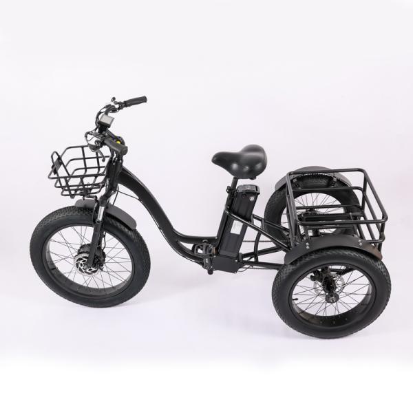 Wholesaler Adults 750w/500W 3 Wheel Electric Cargo Tricycle with Aluminium Alloy Fork