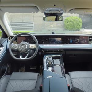 2023 4WD VOYAH FREE Extended Range Exclusive Luxury Electric Car ev suv pure