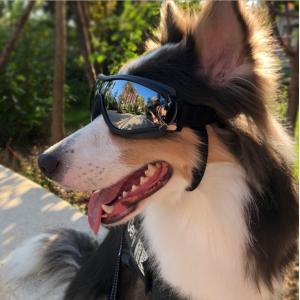 China Uv Wind Dust Protection 0.5kg Dog Sunglasses With Adjustable Strap on sale