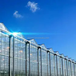 Water Resistance Glass Sheltered Greenhouse For Plant Cultivation