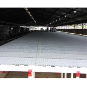 Automatic Broiler Slatted Grating Mesh Poultry Slat Flooring