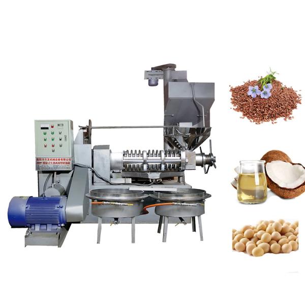 Buy SS 380v 15KW Screw Edible Mustard Oil Press Machine at wholesale prices