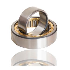 300*460*74 Straight NJ1060M Cylindrical Roller Bearings