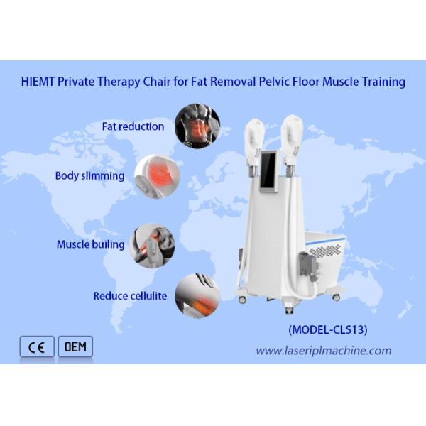 200μs Pulse Magenetic Face Sculpt Machine 0-3T Electromagnetic Wave