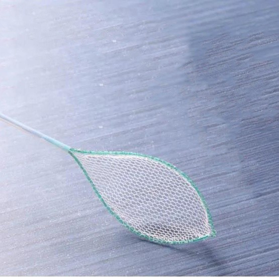 Buy Stainless Steel Disposable Grasping Forceps Class II at wholesale prices