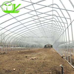 Budget-Friendly Agricultural Plastic Film Greenhouse for Vegetable Fruits