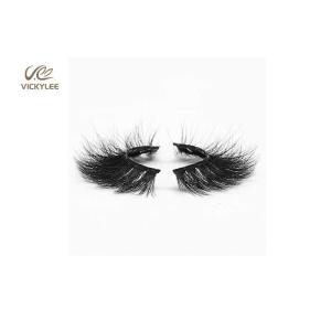 Human Hair Fan Shaped 34MM Natural Multipack Eyelashes
