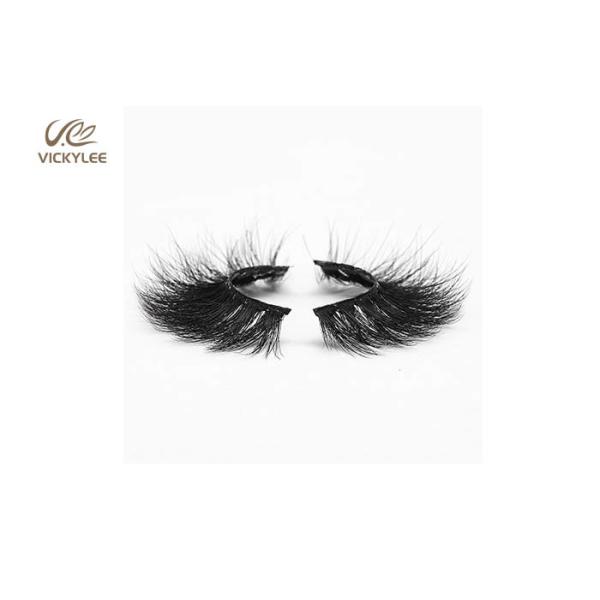 Human Hair Fan Shaped 34MM Natural Multipack Eyelashes