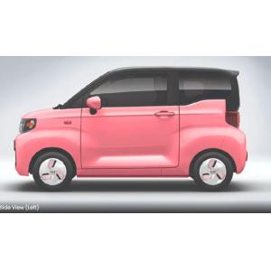 Affortable & practical capable electric car- Chery QQ Ice Cream Qirui 2024 170km