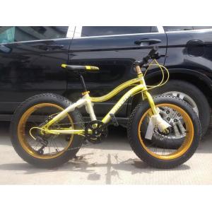 OEM 21 Speed 20 Inch Fat Tire Electric Bike