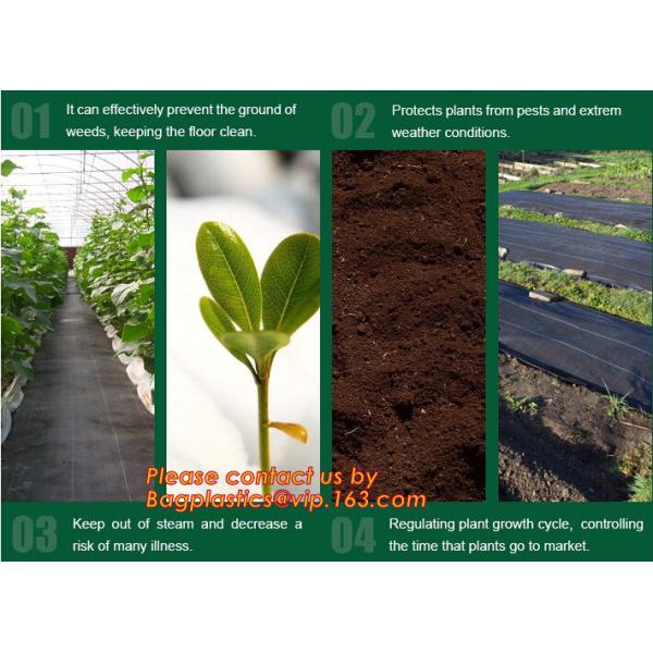 Agricultural plastic ground cover weed mat, pp weed control mat, for greenhouse