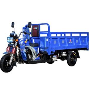 Engine 200CC 3 Wheeler Gas Motorized Tricycle