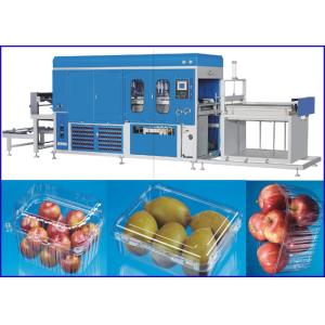 Plastic sheet Vacuum Thermoforming Machine For Super market Fruit and Vege