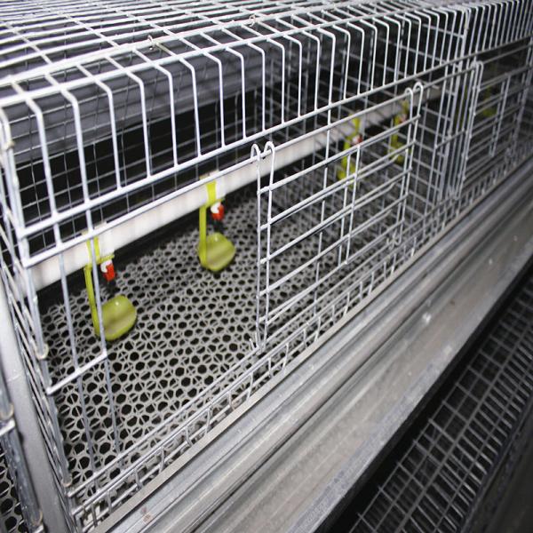 Buy Farming Coop Broiler Chicken Cage Animal Husbandry Equipment at wholesale prices