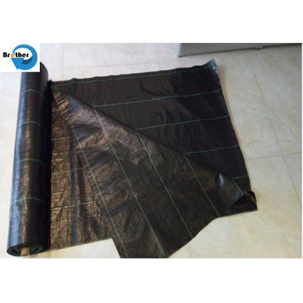 PP Woven Weed Barrier Control Sulzer Weed Mat Ground Black Cover Fabric in Garden / Greenhouse