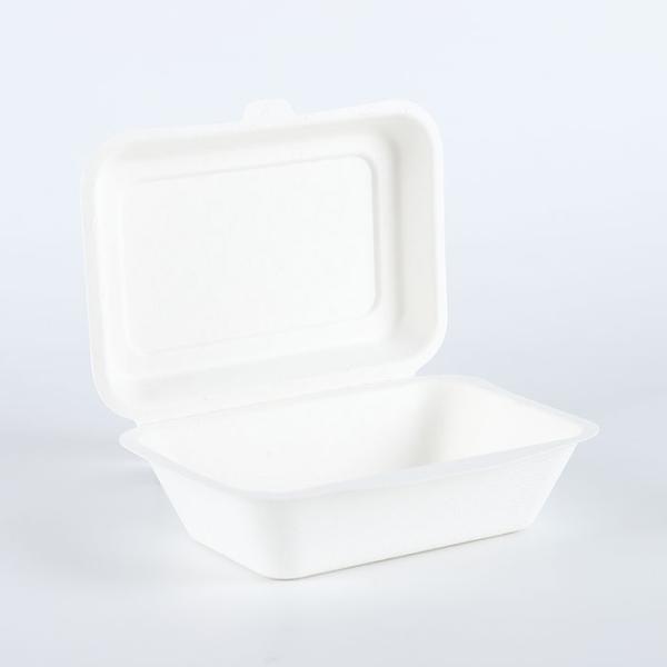 600ml sugar cane bagasse compostable takeout lunch box
