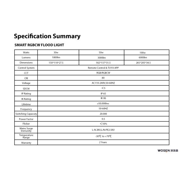 Waterproof Outdoor RGB LED Floodlight Smart IP66 LED Flood Light 100W