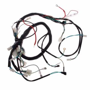 Quality 10-15 Days Lead Time Home Appliance Wiring Harness for Customized OEM Wire Harness for sale