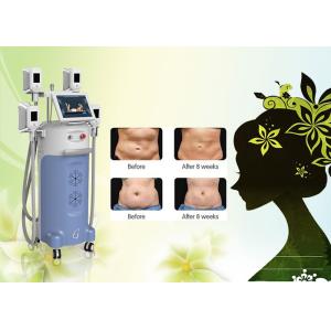 4 big handles Great weight loss-15 ~5Celsuis degree machine cryolipolysis