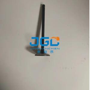 VHS137151733 Excavator Exhaust Valve For Engine J08E J05S