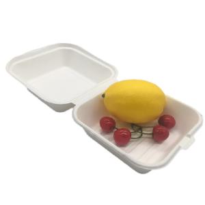 6" Biodegradable Takeout Containers