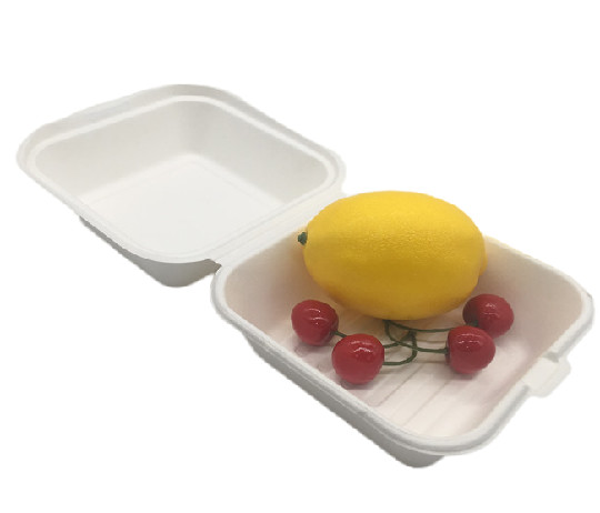 6" Biodegradable Takeout Containers