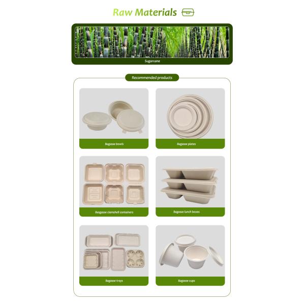 Eco Friendly Food Biodegradable Bagasse Tableware Sugarcane Containers For Camping