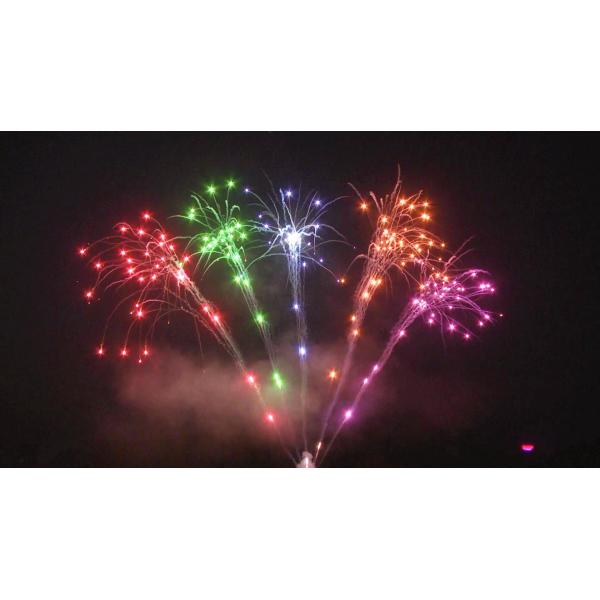 Buy Salute Pyrotechnics Customized Chinese Display Cake Fireworks 200 Shots at wholesale prices