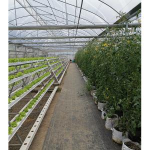 2-5m Shoulder Height High Tunnel Sawtooth Greenhouse for Commercial Plant