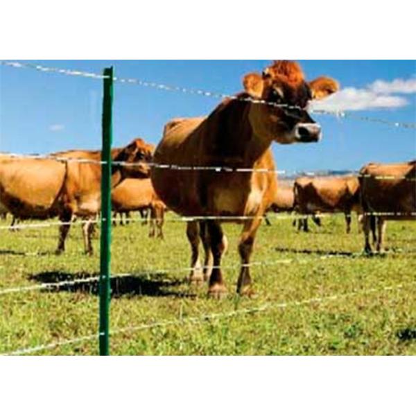 Buy Budget V Mesh Security Fencing Basic Protection at wholesale prices