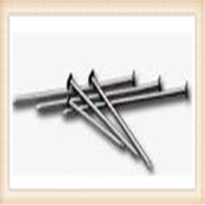 Quality bright common nail ( factory with competitive price ) for sale
