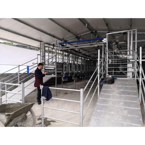 Buy Customizable SUS304 Goat Herringbone Milking Parlor at wholesale prices