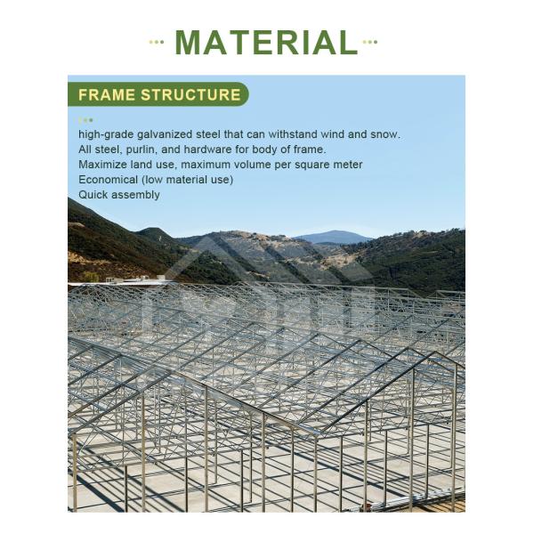 Mushroom Light Deprivation Greenhouse With Hot Dip Galvanized Steel Pipe