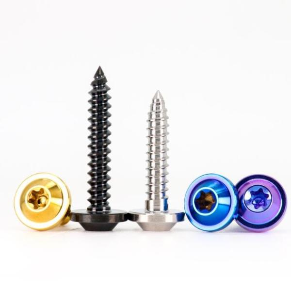 TC4 Titanium Screws Self Tapping Flying Saucer Head Screw For Motorcycle