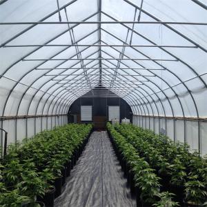 Single Span Tunnel Blackout System Hydroponic Light Deprivation Greenhouse