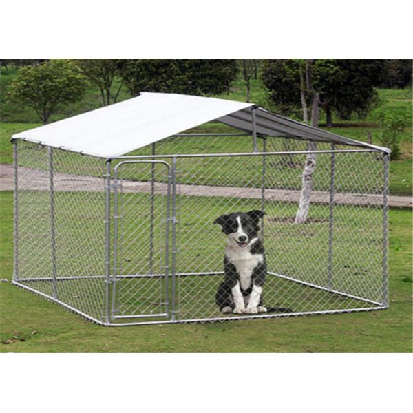 Galvanized Wire Outside Dog Cages For Large Dogs / Fully Enclosed Dog Kennel