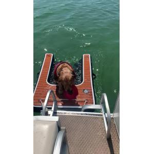 Portable Adjustable Folding Dog Ramp Inflatable Dog Dock Ramp Stair Pets Dog