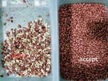 Wenyao Infrared CCD Camera Grain Color Sorting Machine Optical Peanut Maize