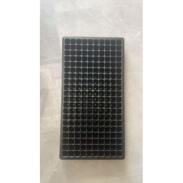 Buy 2mm thick 200-cell seedling tray, sowing tray at wholesale prices