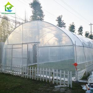 Agricultural Plastic Film Shed Poly Tunnel Vegetable Greenhouse with Cooling /