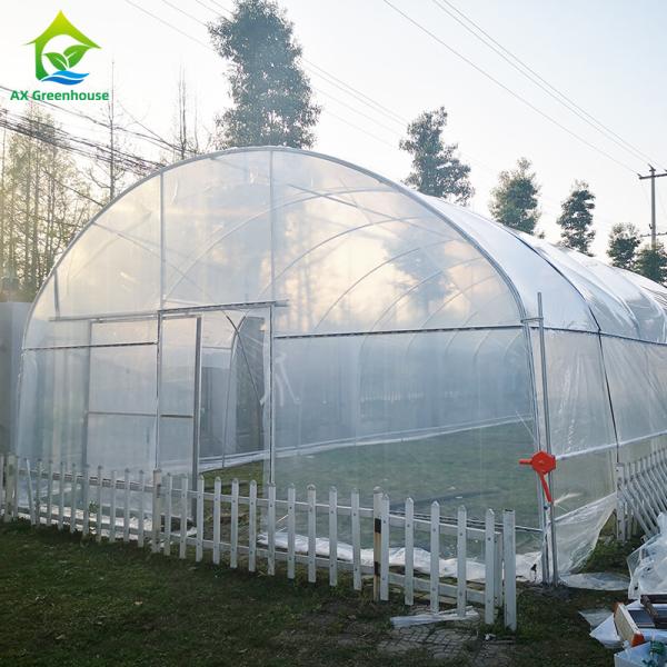 Agricultural Plastic Film Shed Poly Tunnel Vegetable Greenhouse with Cooling / Heating / Irrigation System
