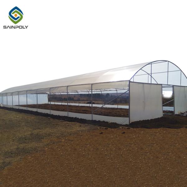 Hot Galvanized Steel 12m Single Tunnel Greenhouse