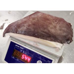 Giant Sea Squid Wing Cartilage Off Dosidicus Gigas Bqf Size 500-1000g