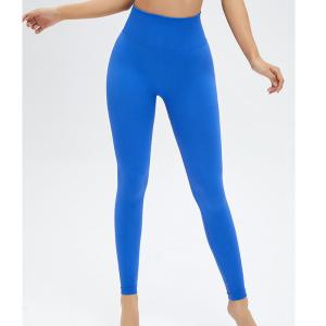 Blue Elastic Seamless High Waisted Tummy Control Workout Leggings