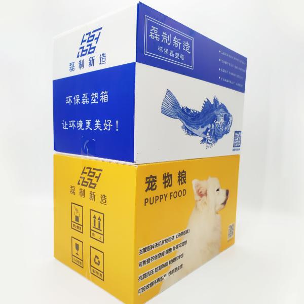 Buy SGS Corrugated Plastic Storage Boxes 200mm*140mm*140mm Ecommerce Shipping at wholesale prices